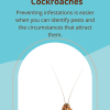 Facts About Cockroaches Blog Pin