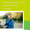 How Regenerative Farming Works & The Benefits It Can Provide