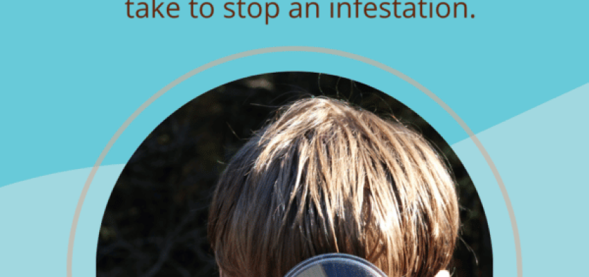 How to Tell if You Have Cockroaches Pin