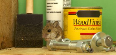 MouseProofGarage-thumb