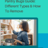 Pantry Bugs Guide Different Types _ How To Remove Blog Pin