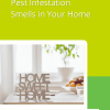 Pest Infestation Smells in Your Home Blog Pin