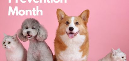 Pet_Poison_Prevention_Month_png