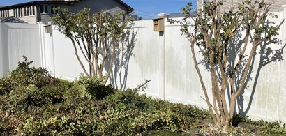 Piles of tree branches laying on the lawn