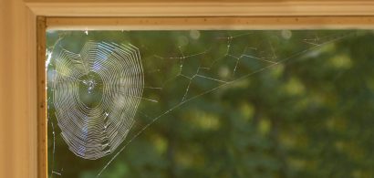 Picture of a spider web in the corner of a windowsill