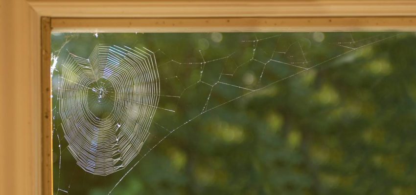 Picture of a spider web in the corner of a windowsill