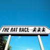 The_Rat_Race