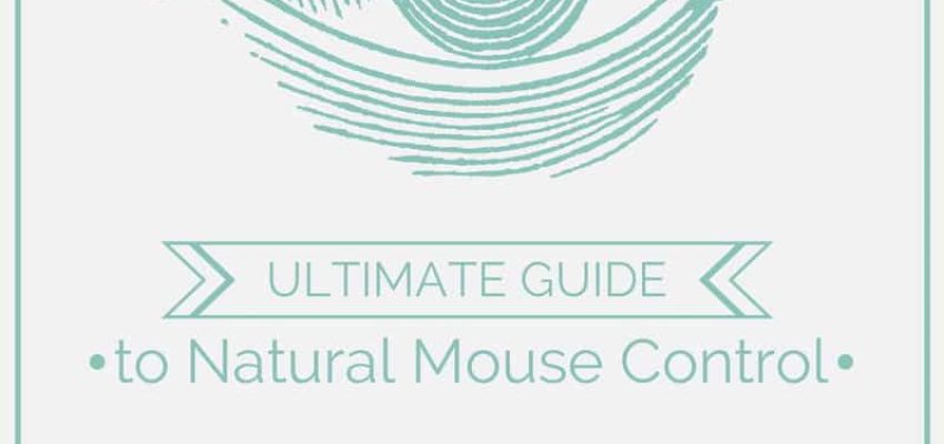 Ultimate_Guide_to_Natural_Mouse_Control.jpg