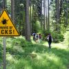 Warning sign beware of ticks in infested area in the green forest with walkers_medium