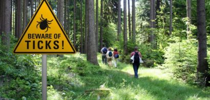 Warning sign beware of ticks in infested area in the green forest with walkers_medium