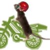 biker_mouse.jpg