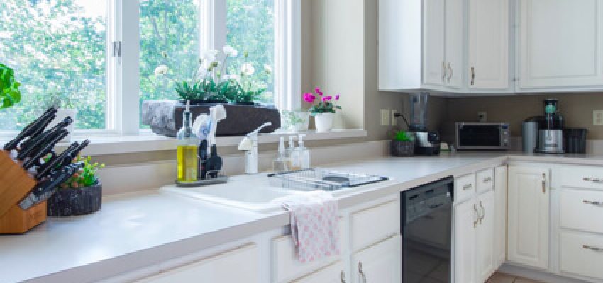 ek-GetRidOfMiceInKitchen-thumb