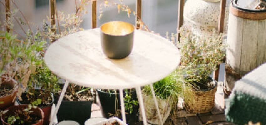 ek-keepmiceoffyourbalconygarden-thumb